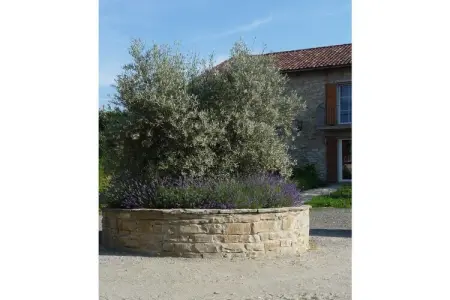 4536, Casa Seta II, Cascine Crema - Photo 6