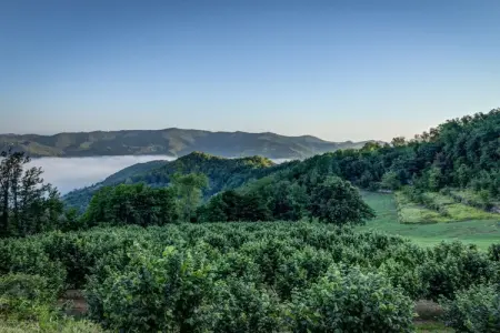 4536, Casa Seta II, Cascine Crema - Photo 27