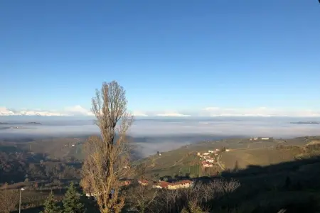 445840, Dolce far niente - Photo 31
