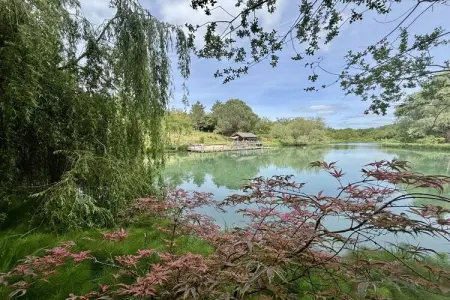 746208, La chaise et la piscine près de Sarlat - Photo 5