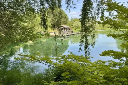 746208, La chaise et la piscine près de Sarlat - Photo 6