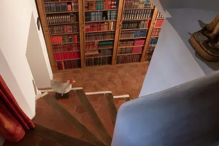 108356, Villa à Grasse avec piscine - Photo 10