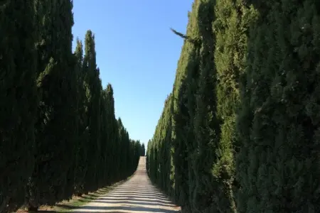 756771, Casa Il Gelsomino - Photo 30