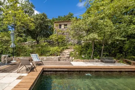 431342, Maison de vacances à Saignon avec piscine - Photo 1