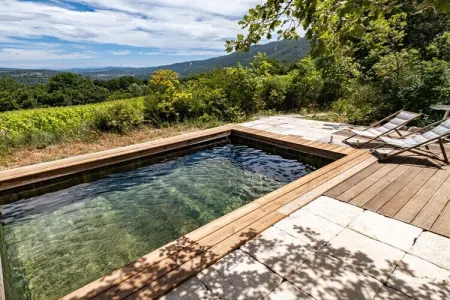 431342, Maison de vacances à Saignon avec piscine - Photo 3