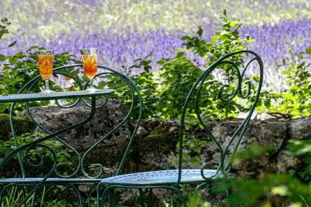 431342, Maison de vacances à Saignon avec piscine - Photo 6