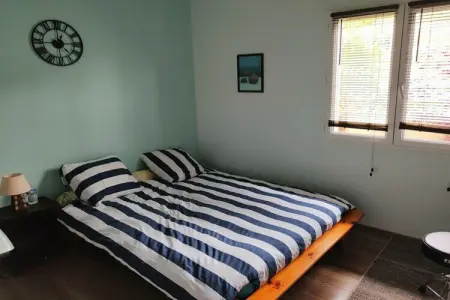 476473, Maison de vacances à Ondres avec piscine - Photo 9