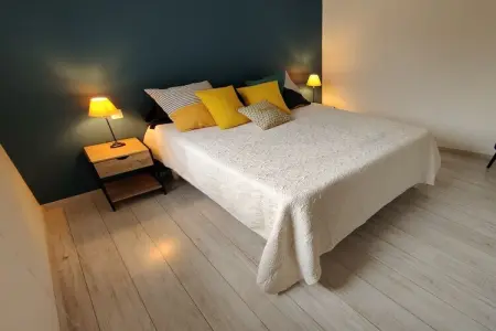476473, Maison de vacances à Ondres avec piscine - Photo 12
