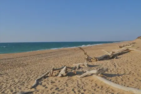 476473, Maison de vacances à Ondres avec piscine - Photo 18