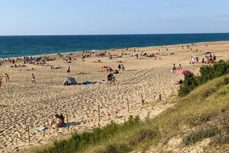 476473, Maison de vacances à Ondres avec piscine - Photo 20