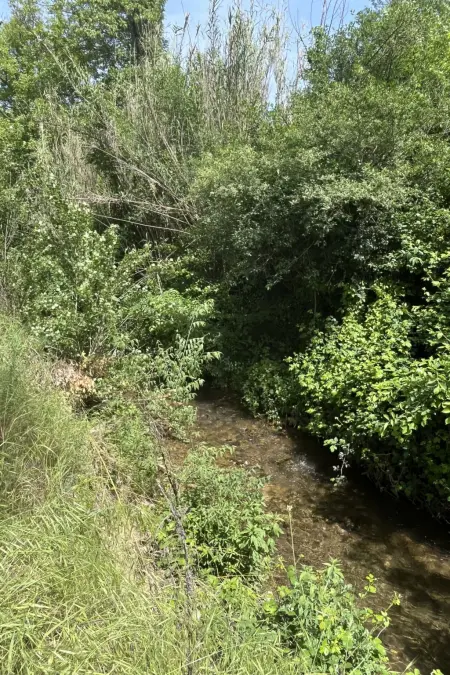 Campagne la Rivière, Maison 6 personnes à Cotignac - Photo 24