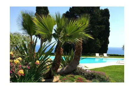 264630, Mon Repos Avenir - Taor - Photo 5