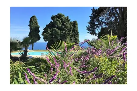 264630, Mon Repos Avenir - Taor - Photo 8