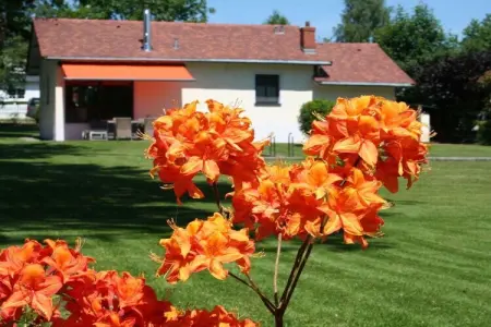 24424, Maison 4 personnes à  - Photo 1