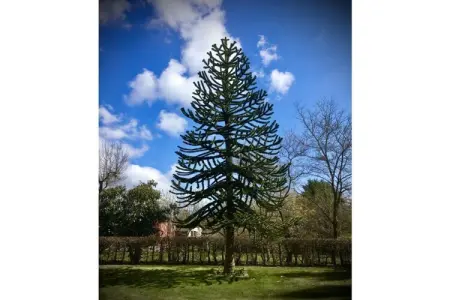 24424, Maison 4 personnes à  - Photo 7