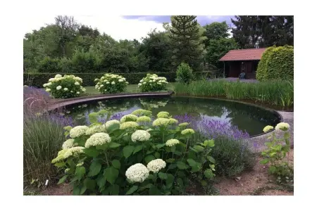 24424, Maison 4 personnes à  - Photo 8