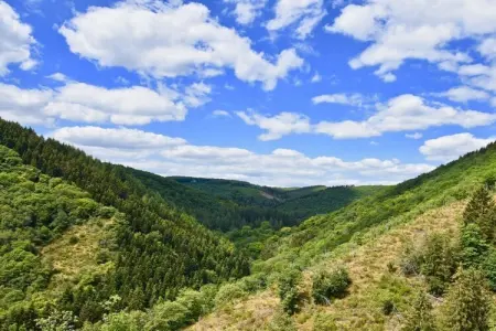 24424, Maison 4 personnes à  - Photo 25