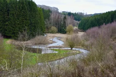 24424, Maison 4 personnes à  - Photo 27