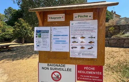 Maison 6 personnes à Besse sur Issole - Photo 21