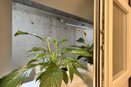 632575, Appartement de vacances avec 1 chambre - Photo 17