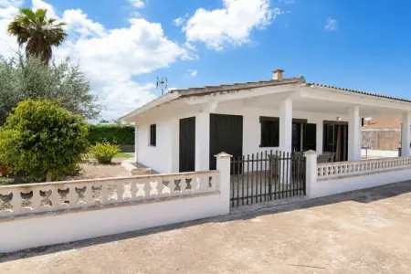 380411, Cabane avec terrasse à Playa de Muro - Photo 3