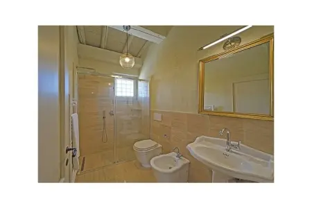 386906, Dogoli Trilo Plus - Photo 8