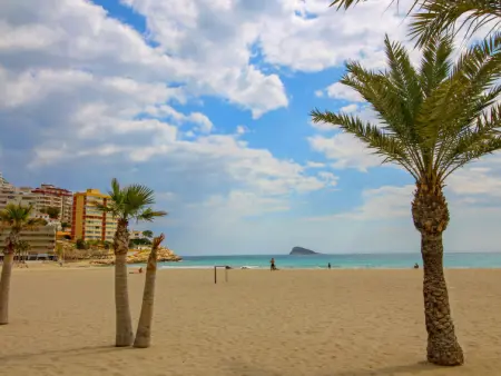 Elegance, Appartement 4 personnes à Benidorm - Photo 12