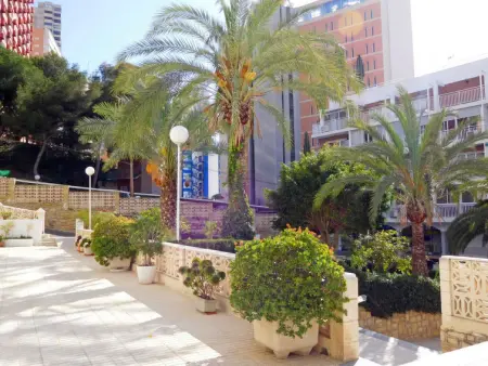 Halcon Levante, Appartement 4 personnes à Benidorm - Photo 20