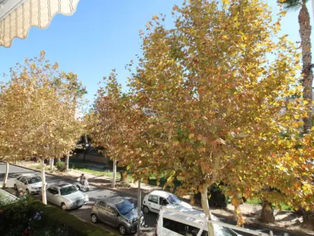 Celio I, Appartement 4 personnes à Albir - Photo 4