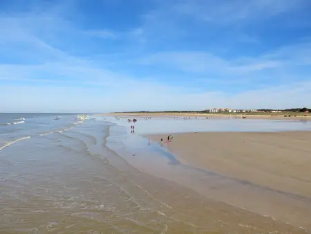 Pamplemousse Face Mer, Appartement 4 personnes à Saint Jean de Monts - Photo 12