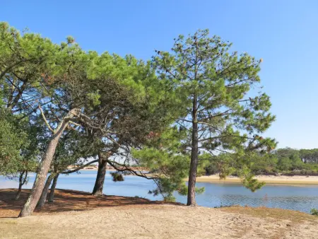 Les Sables d’Or T3, Appartement 6 personnes à Vieux Boucau - Photo 23