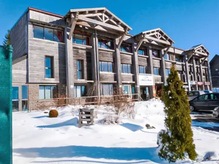 Le Bois de la Reine, Appartement 8 personnes à Super Besse - Photo 50