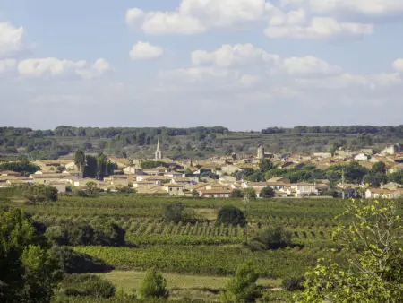 Les Terrasses de la Méditerranée, Appartement 4 personnes à Saint Pierre La Mer - Photo 29