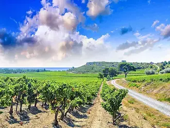 Gîte in Narbonne Plage,Les Vendanges FR6639.500.4 N°525055