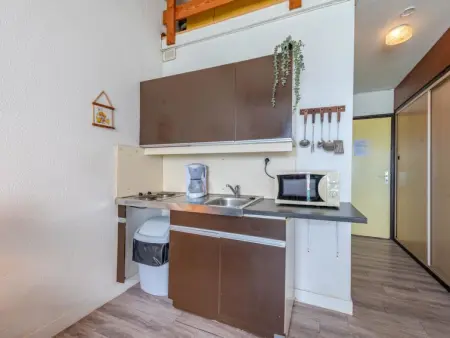 Coudalère/Guadeloupe, Appartement 4 personnes à Le Barcarès - Photo 10