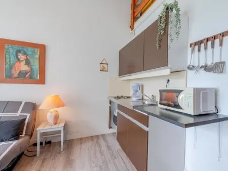 Coudalère/Guadeloupe, Appartement 4 personnes à Le Barcarès - Photo 11