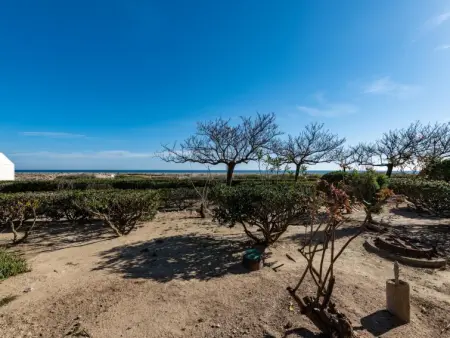 Les Cyclades, Appartement 4 personnes à Port Leucate - Photo 28