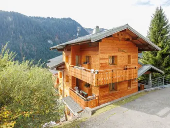 Chalet in Châtel,Le Petit Savoyard FR7485.613.2 N°511509