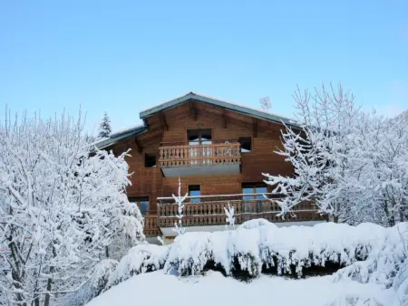 Le Petit Savoyard, Chalet 4 personnes à Châtel - Photo 18