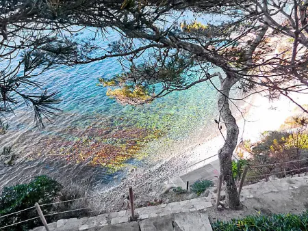 Campagne la Source, Appartement 4 personnes à Saint Cyr sur Mer La Madrague - Photo 23