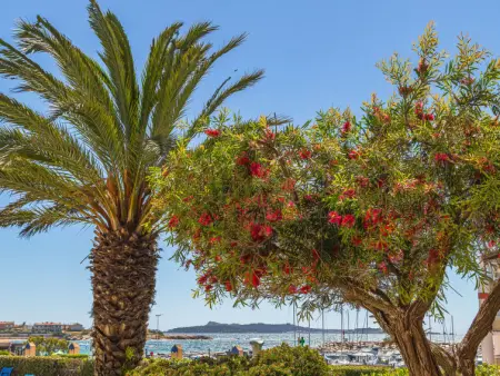 Les Rivages de Coudoulière, Appartement 5 personnes à Six Fours La Coudoulière - Photo 49