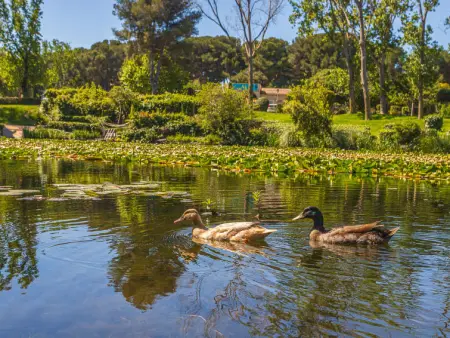 Les Rivages de Coudoulière, Appartement 5 personnes à Six Fours La Coudoulière - Photo 54