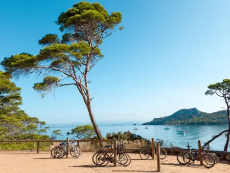 Le Cap Azur, Appartement 4 personnes à Saint Mandrier - Photo 22