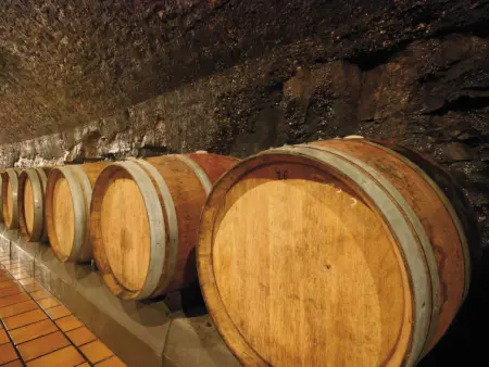 Le Lido, Appartement 4 personnes à Cagnes sur Mer - Photo 22