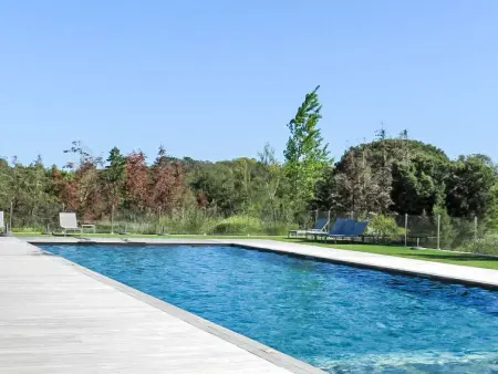 Cala Sultana, Appartement 4 personnes à Porto Vecchio - Photo 22