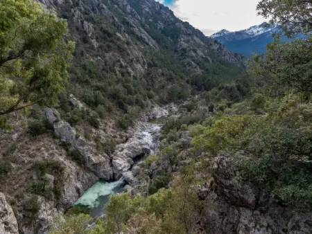Migone de Sampolo, Maison 6 personnes à Ghisonaccia - Photo 24