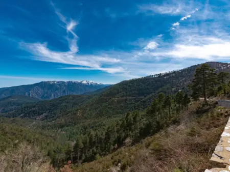 Migone de Sampolo, Maison 6 personnes à Ghisonaccia - Photo 27