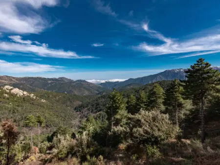 Migone de Sampolo, Maison 6 personnes à Ghisonaccia - Photo 29