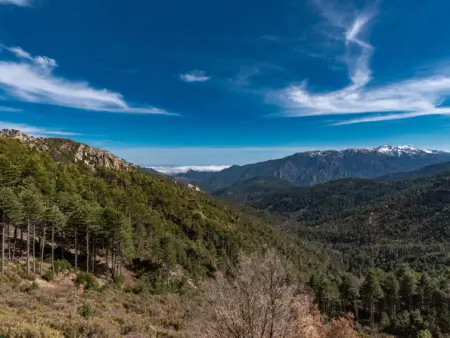 Migone de Sampolo, Maison 6 personnes à Ghisonaccia - Photo 30