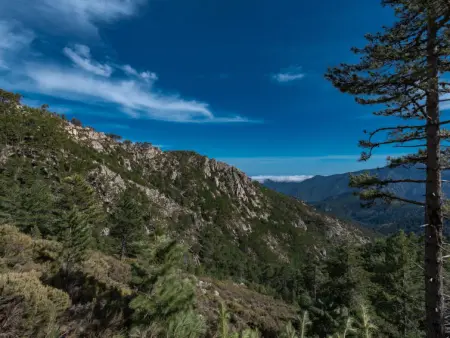 Migone de Sampolo, Maison 6 personnes à Ghisonaccia - Photo 31